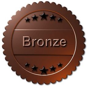 BRONZE Sponsorship item