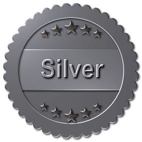SILVER Sponsorship item