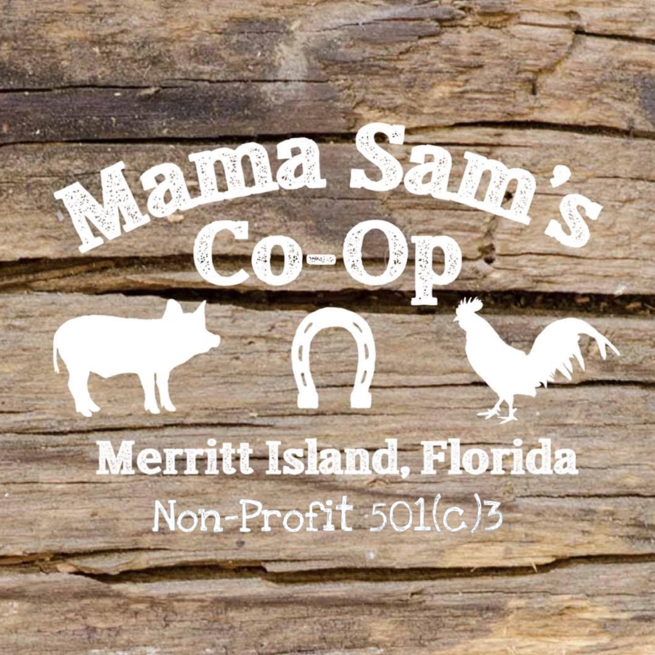 Mama Sams Co-op