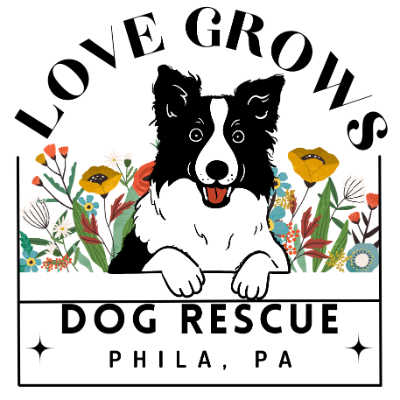 Love Grows Dog Rescue