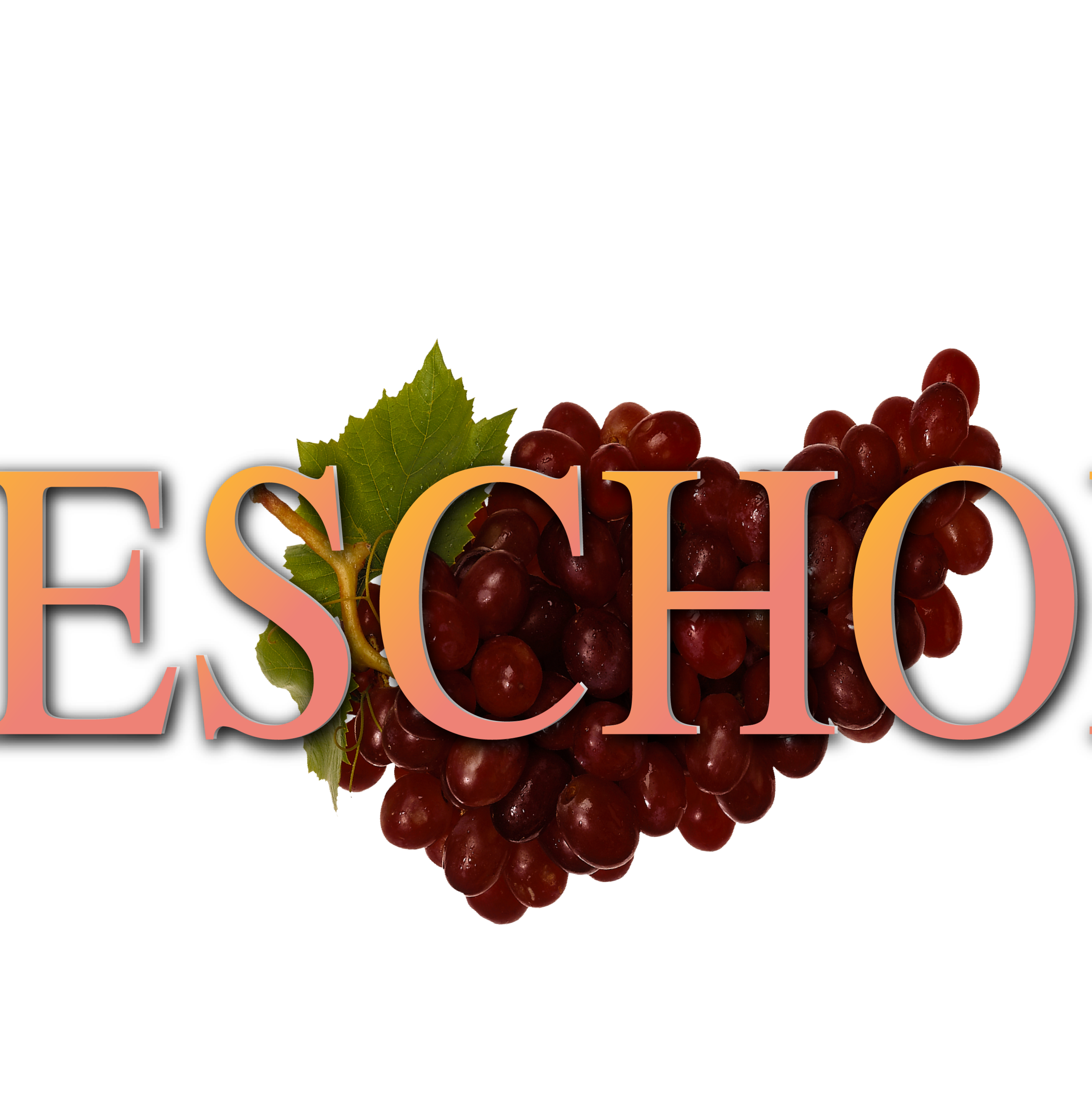 Potter's Vessel Ministries, Inc.