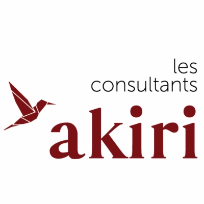 Les Consultants Akiri