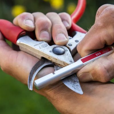 Custom Knife & Pruner Sharpening Service item