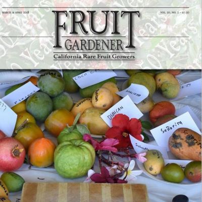 Fruit Gardener Magazine - Vintage Issues item