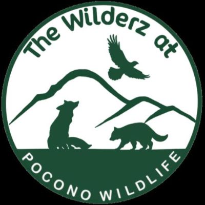 Pocono Wildlife Rehabilitation and Education Ctr