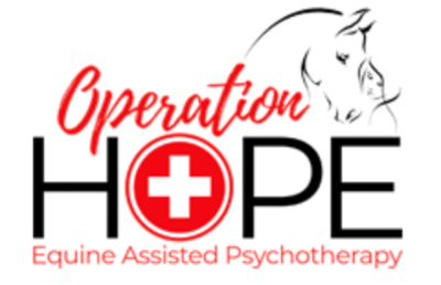 Operation HOPE LLC