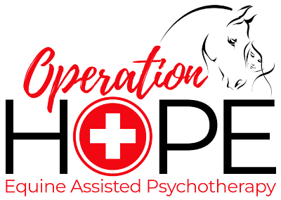 Operation HOPE LLC