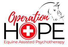 Operation HOPE LLC