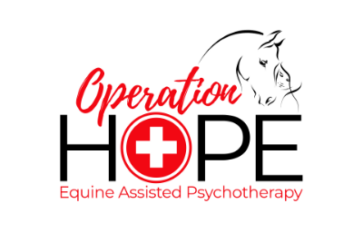Operation HOPE LLC