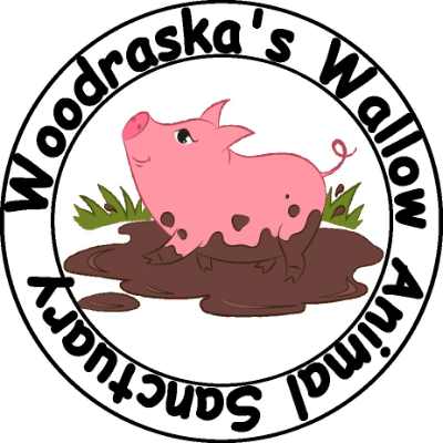 Woodraskas Wallow