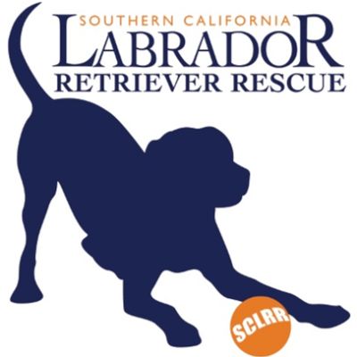 Southern California Labrador Retriever Rescue