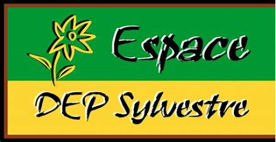 Espace DEP Sylvestre