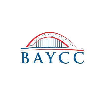 Bay Area Cultural Connections (BAYCC)