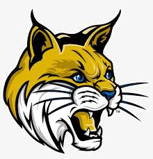 Villa Preparatory Academy