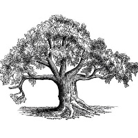 Sycamore Tree Theatre