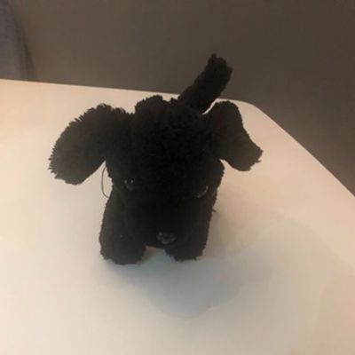 Doggy item