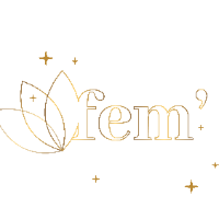 Réseautage Femmes d'affaires.