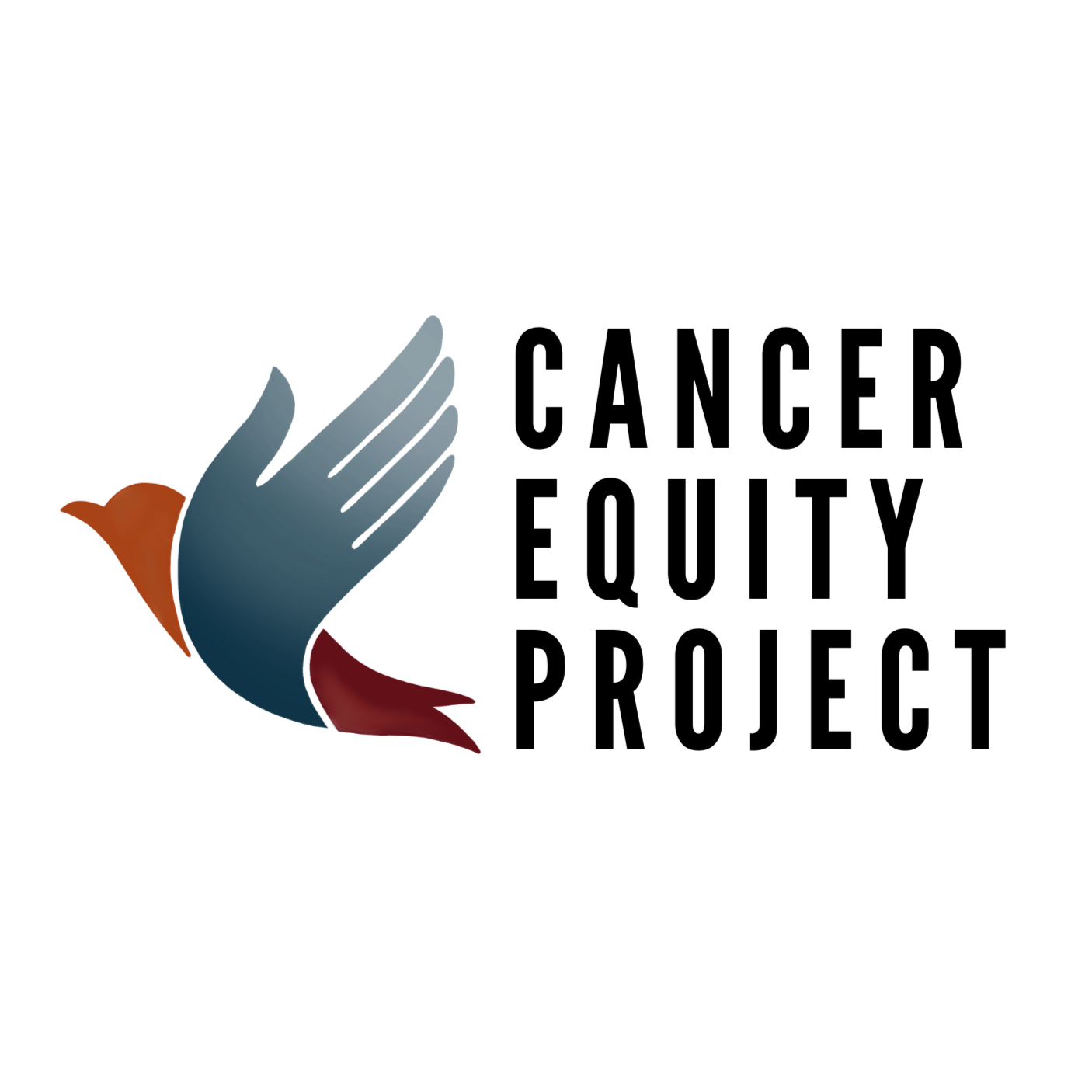 The Cancer Equity Project