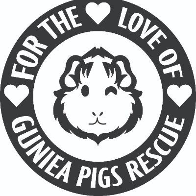 For the love of guinea pigs rescue and Sanctuary