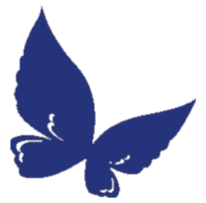 WINGS Ministries
