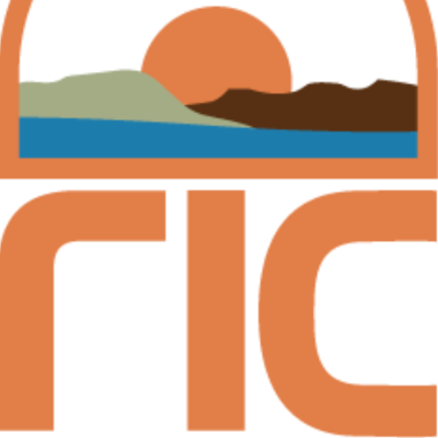 Re-Indigenized Collective