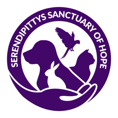 Serendipittys Sanctuary of Hope