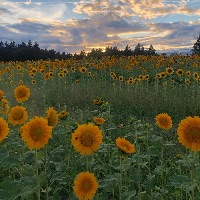 The Neighborhood Church