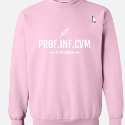 Prof.inf.CVM - Rose pâle item