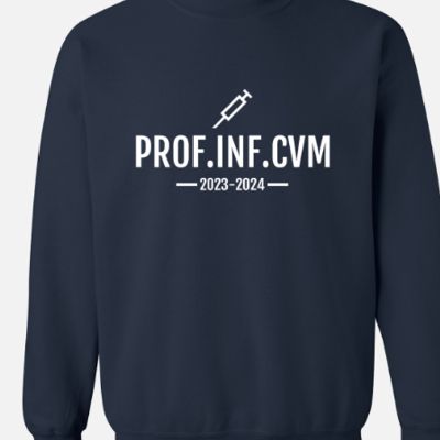 Prof.inf.CVM- Marine item