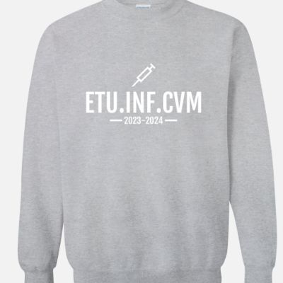 Etu.inf.CVM - Gris sportif item