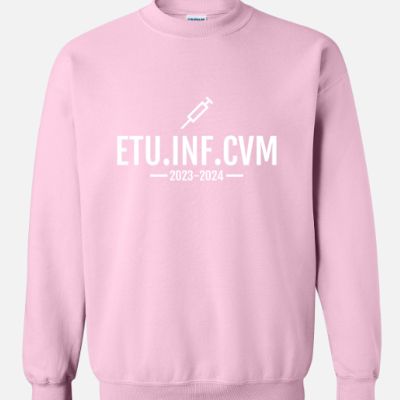 etu.inf.cvm - rose item