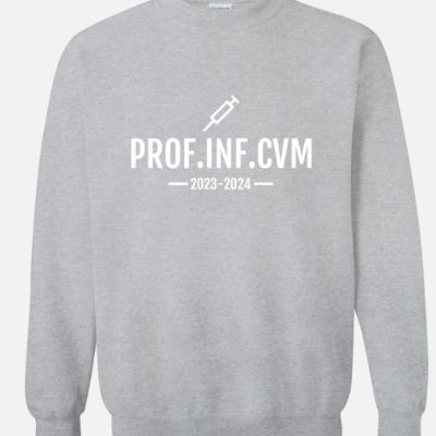 Prof.inf.CVM - GRIs item