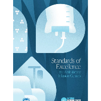 Standards of Excellence for AICs - Print & Digital Bundle item