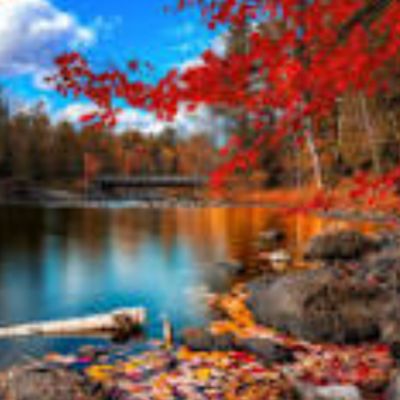 HELLENIC AMERICAN SCHOOL PARENT TEACHERS ASSOCIATION PTA