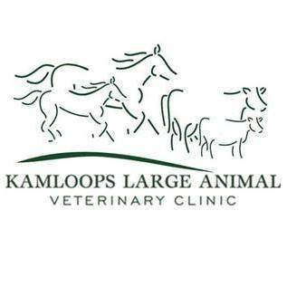 Kamloops Therapeutic Riding Association
