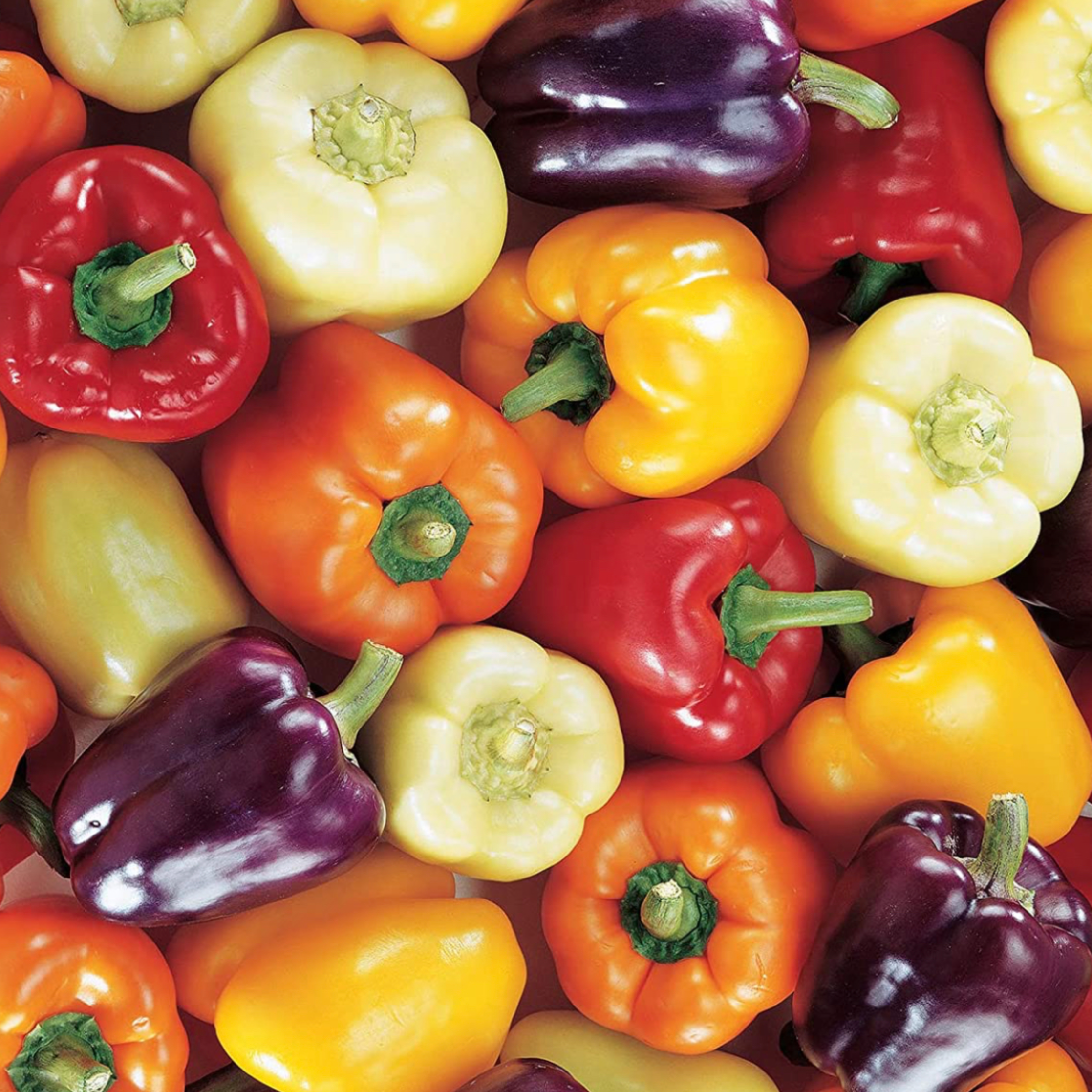 Vegetable Flats 24 Plants (packs only) item