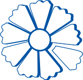 Action Intégration En Déficience Intellectuelle