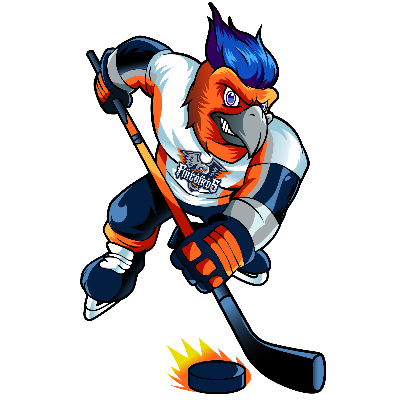 IMS Hockey Management, LLC