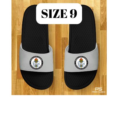 HOME GRAY SIZE 9 PRIDE SLIDES item