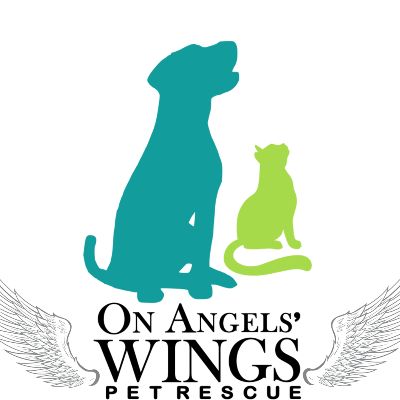 Le sauvetage des animaux sur les ailes de l'ange