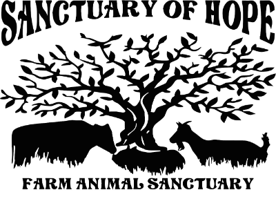 The Sanctuary of Hope Inc.
