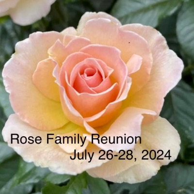 Rose Family Reunion