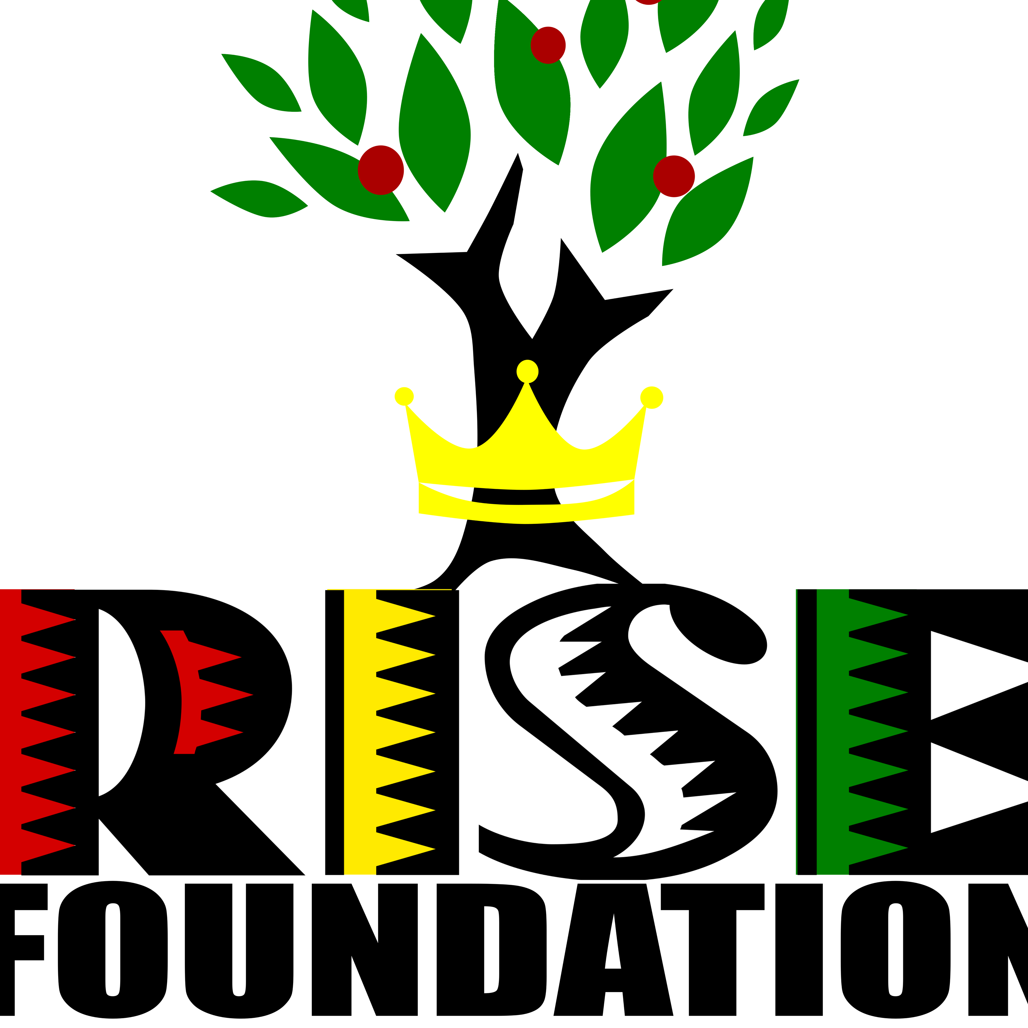 RISE Foundation
