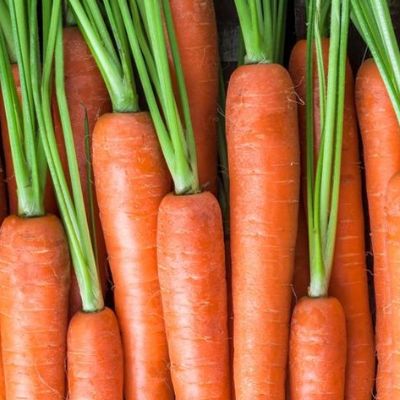 20 Medium Size Meals-delivered item