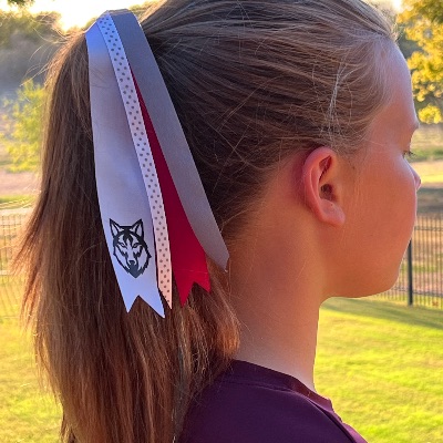 "Large" Ribbon Hair Streamer item