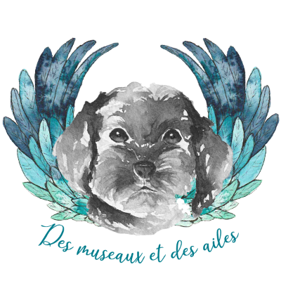 Des museaux et des ailes