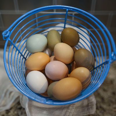 1 Dozen Eggs item