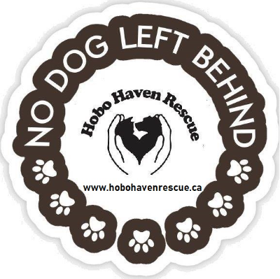 Hobo Haven Rescue