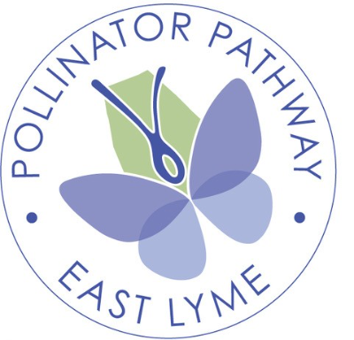 Pollinator Pathway East Lyme