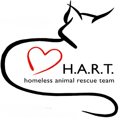 Homeless Animal Rescue Team
